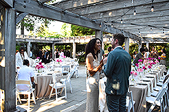 LOVE IN BLOOM AT WISTERIA HALL